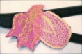 Headband 12€
